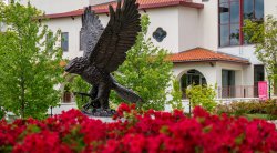 Photo of Red Hawk Statue in spring