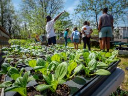 Seedlings ready for the growing season at Down Bottoms Farm. The garden encourages healthy initiatives and hosts a Farmer’s Market every Saturday from mid-May through the end of October, providing access to fresh, locally grown produce to the residents of the Ironbound.