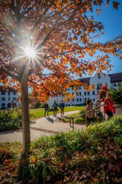 sun shining through fall folliage in front of Chapin Hall