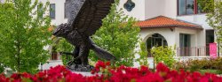 photo of red hawk statue with red flowers in foreground and kasser theater in background