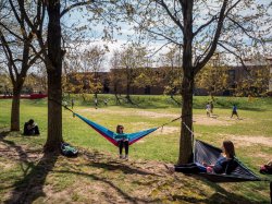 Picture of students sitting on hammocks on campus.