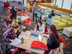 Picture of students studying