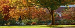 Photo of campus in fall