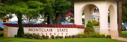 Gates of MSU