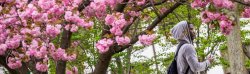 photo of student walking on campus in spring