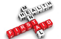 Feature image for Mental Health First Aid Certification