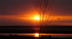 Feature image for Mindfulness Based Stress Reduction (MBSR) Course