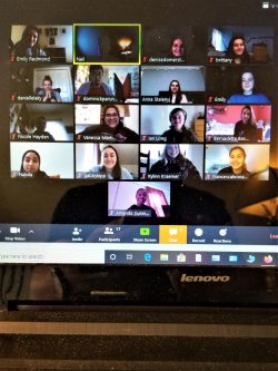 photo of screen showing zoom meeting