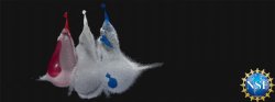 High speed photo of the moment three water balloon burst after being punctured.