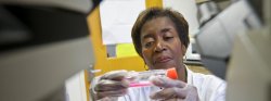 Dr. Sandra Adams looking at a sample