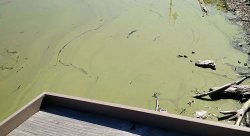 Feature image for Help preserve our water supply for drinking and recreation 