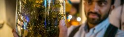 seaweed sample in jar