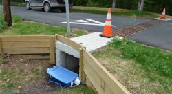 Feature image for Underground toad road provides safer commute for small animals - NJ.com