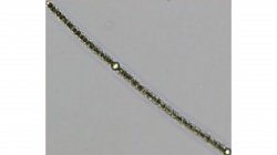 cyanobacteria under microscope