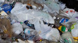 mounds of plastic bottles within plastic bags at Gaeta Recycling Co. Inc in Paterson