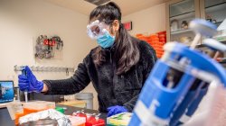 student in Dr. Sandra Adams' molecular biology lab