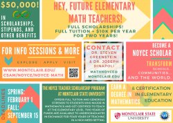 Noyce Program Flyer