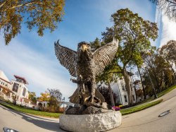 red hawk statue from below on a sunny day