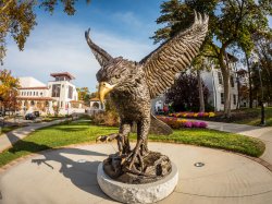 red hawk statue on a sunny day
