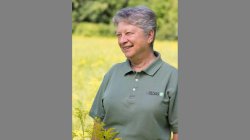 Barbara Brummer