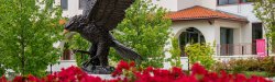 Hawk Statue in Spring
