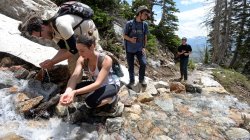 hikers drinking from stream