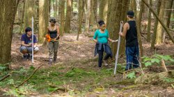 students doing field geology work