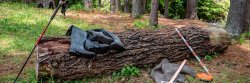 field geology equipment on log