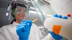 Cepin in lab examining pollen sample