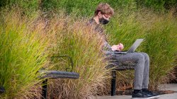 student sitting on a bench outside on their computer