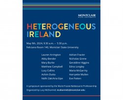 Flyer for Heterogeneous Ireland