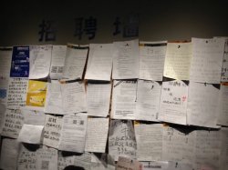 Yanli blog bulletin board