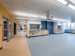 CELS lab