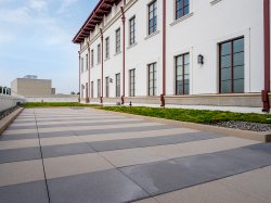 CELS green roof