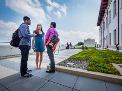 CELS green roof with people