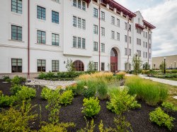 CELS exterior landscaping