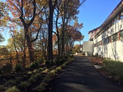 Stone Hall exterior back walkway