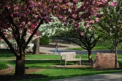 Feature image for Summer Parking Permits Available Online May 1!