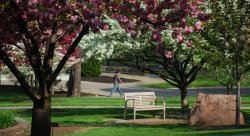 Feature image for Summer Parking Permits Available Online May 1!