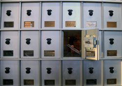 Close-up of lettering being inserted into mailbox.