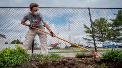 Garden Coordinator working in the MSU Campus Community Garden