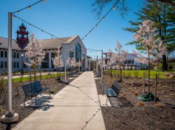 Montclair State campus walkway