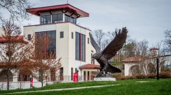 Red Hawk Statue