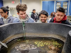 STEM Students in the “turtle lab.”