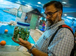 Paul Bologna is among researchers studying the effects of the Oyster Creek Nuclear plant on jellyfish in Barnegat Bay.