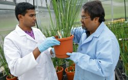 Biology (MS), Ecology and Evolution Concentration at Montclair State University