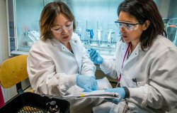 Environmental Management (PhD) at Montclair State University