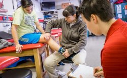 Exercise Science and Physical Education (MS), Sports Administration and Coaching Concentration at Montclair State University