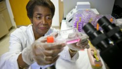 Molecular Biology (MS) at Montclair State University