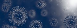 Coronavirus cells